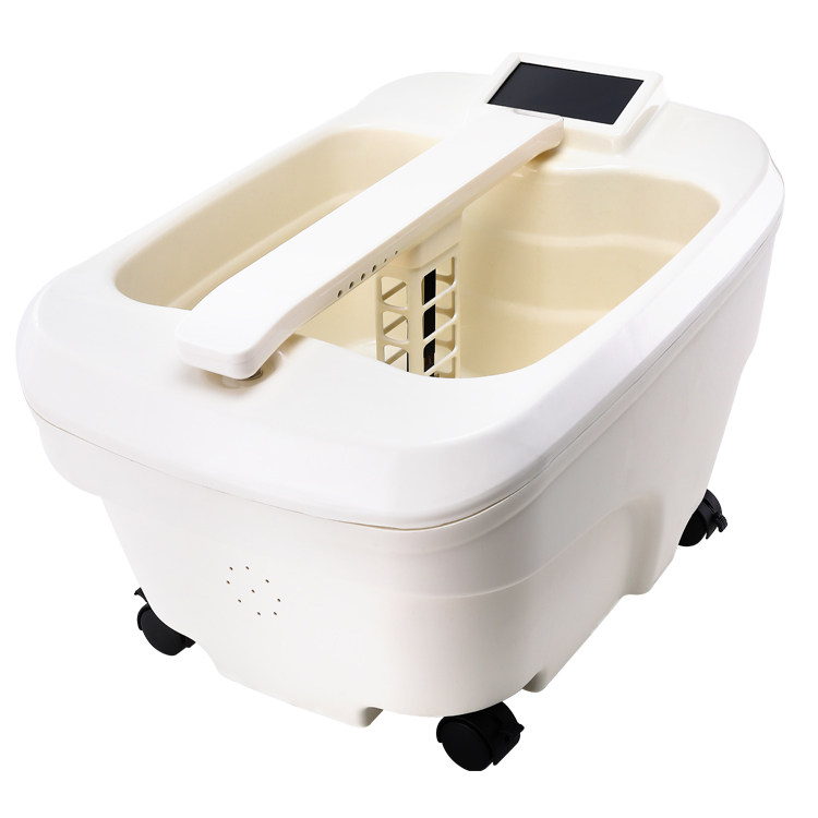 Ion Detox Physiotherapy Foot Bath Infrared Foot Spa Machine 