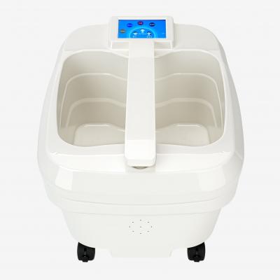 Ion Detox Foot Bath Machine
