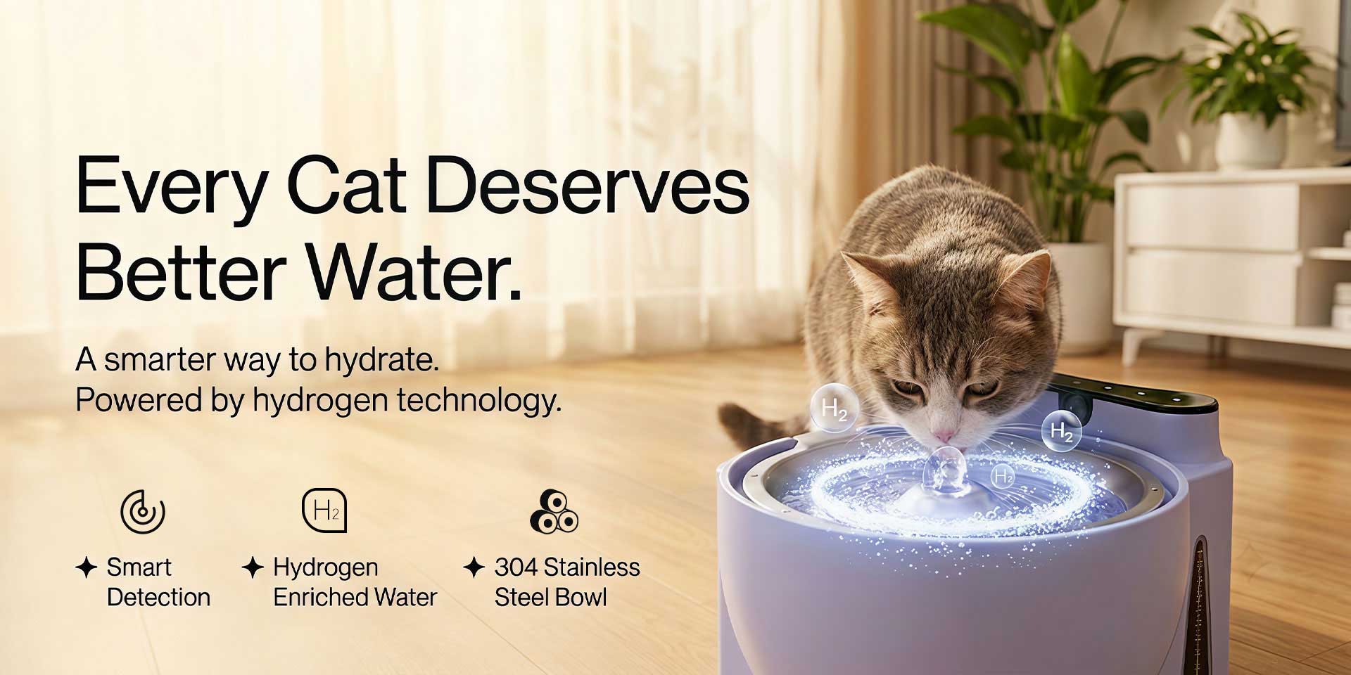 Why Hydrogen‑Rich Water May Be A Game‑Changer For Your Cat's Daily Hydration